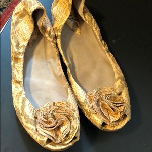 Bloch women’s shoes